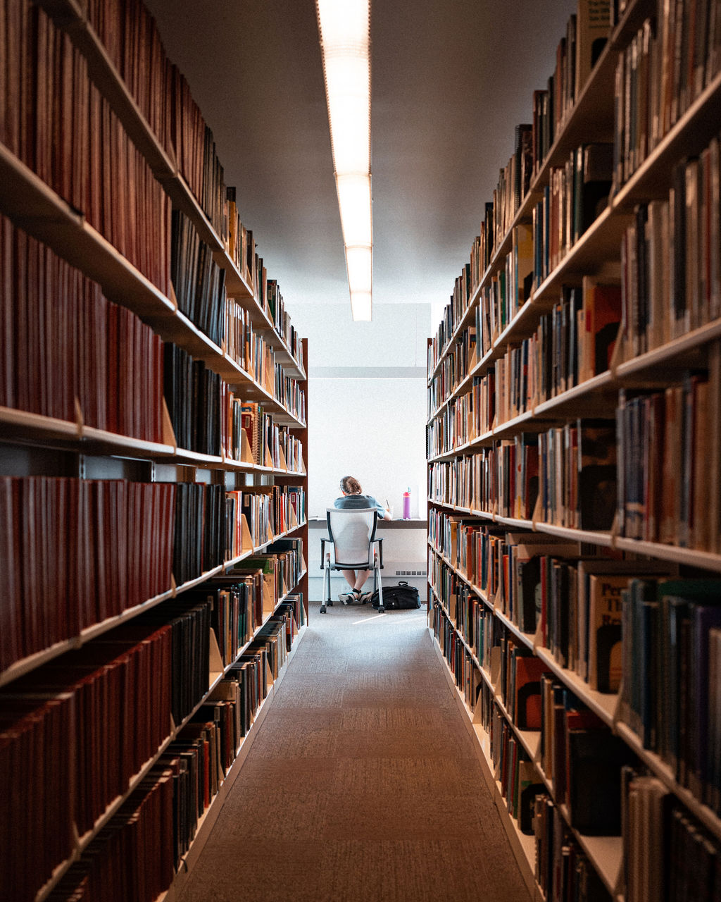 A person sits at a desk in front of a window, studying between tall bookshelves in a library aisle.