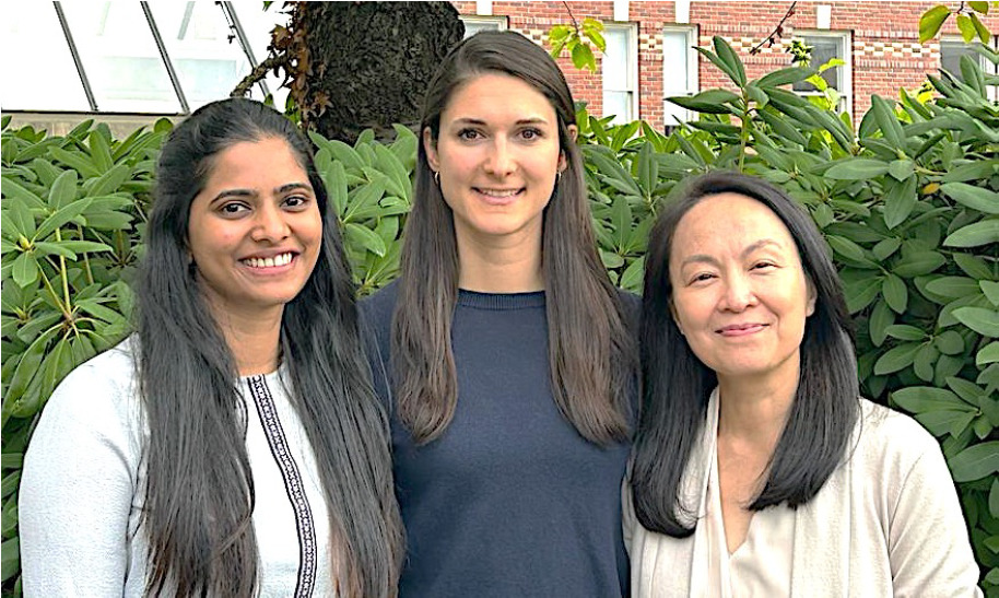 Three women stand side by side outdoors in front of green bushes, smiling at the camera, reflecting the positive spirit found among caregivers and those seeking mental health support.