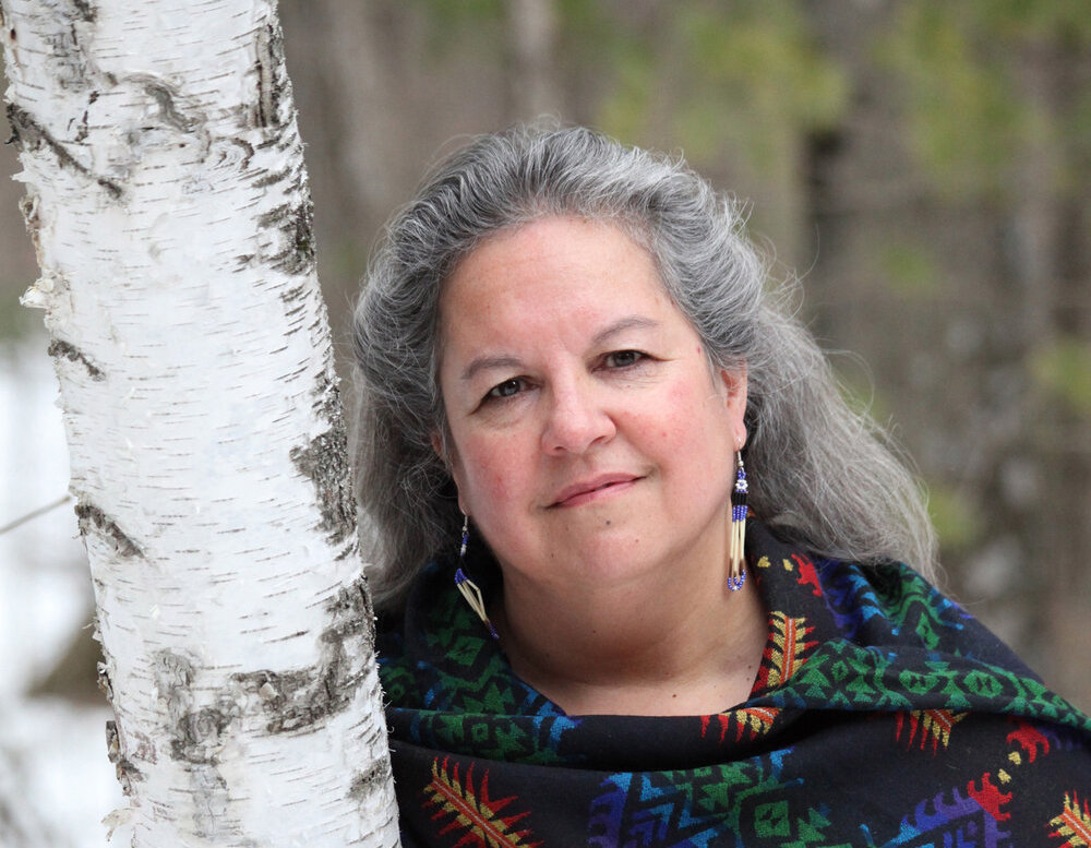 Image of Braiding Sweetgrass cover