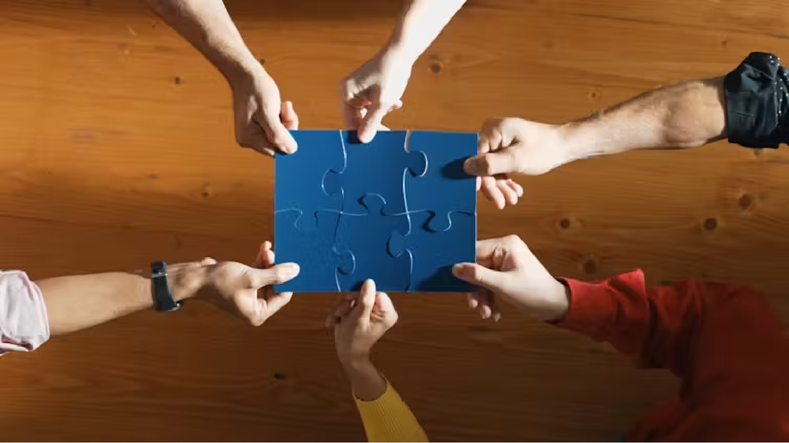Hands holding up puzzle pieces.