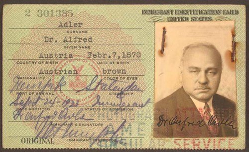 An immigrant identification card for Dr. Alfred Adler, showing his photo, personal details, and official stamps and signatures.