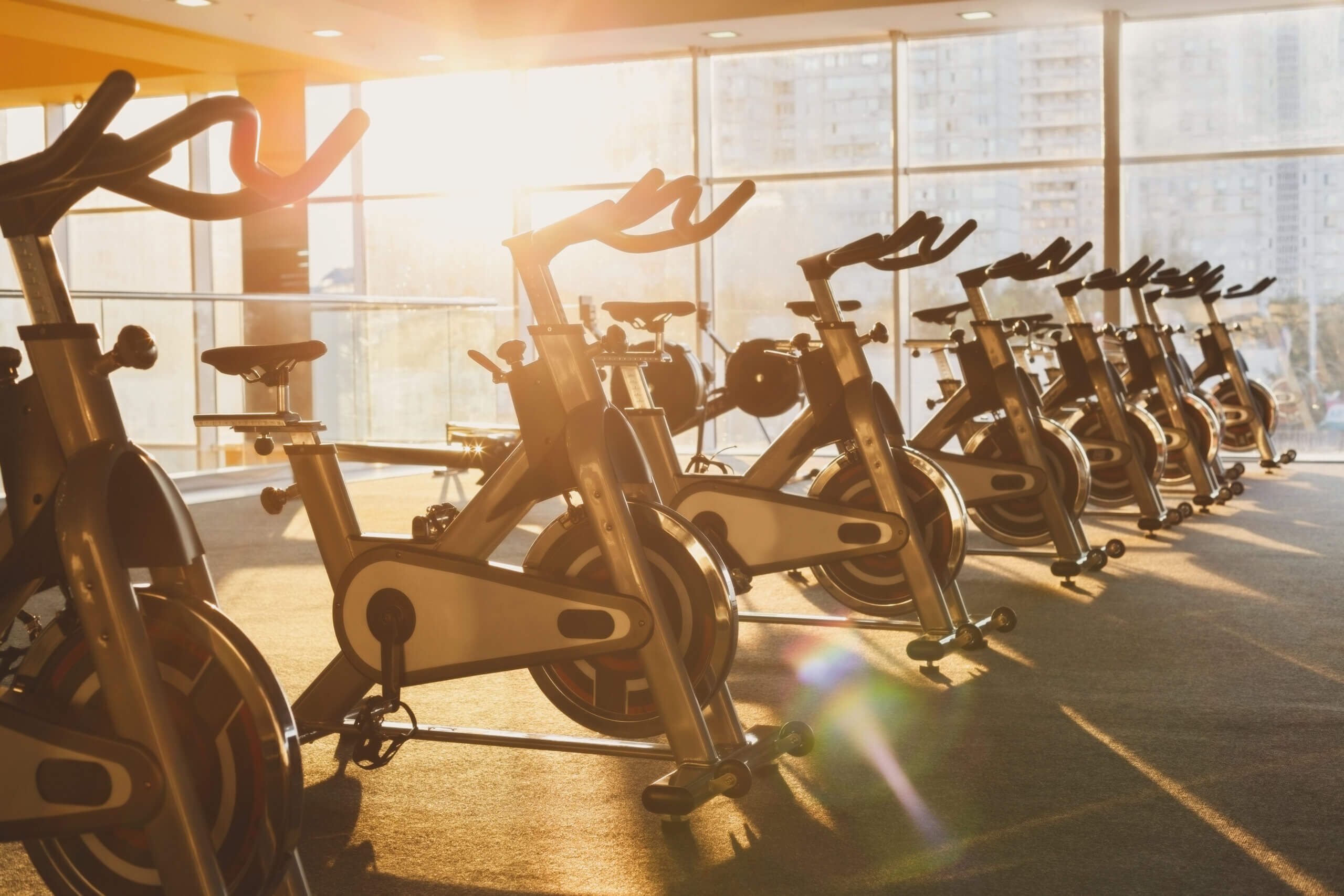 A row of stationary exercise bikes is arranged in a gym with large windows as sunlight streams in—a perfect spot for newcomers relocating to Chicago to stay active and energized.