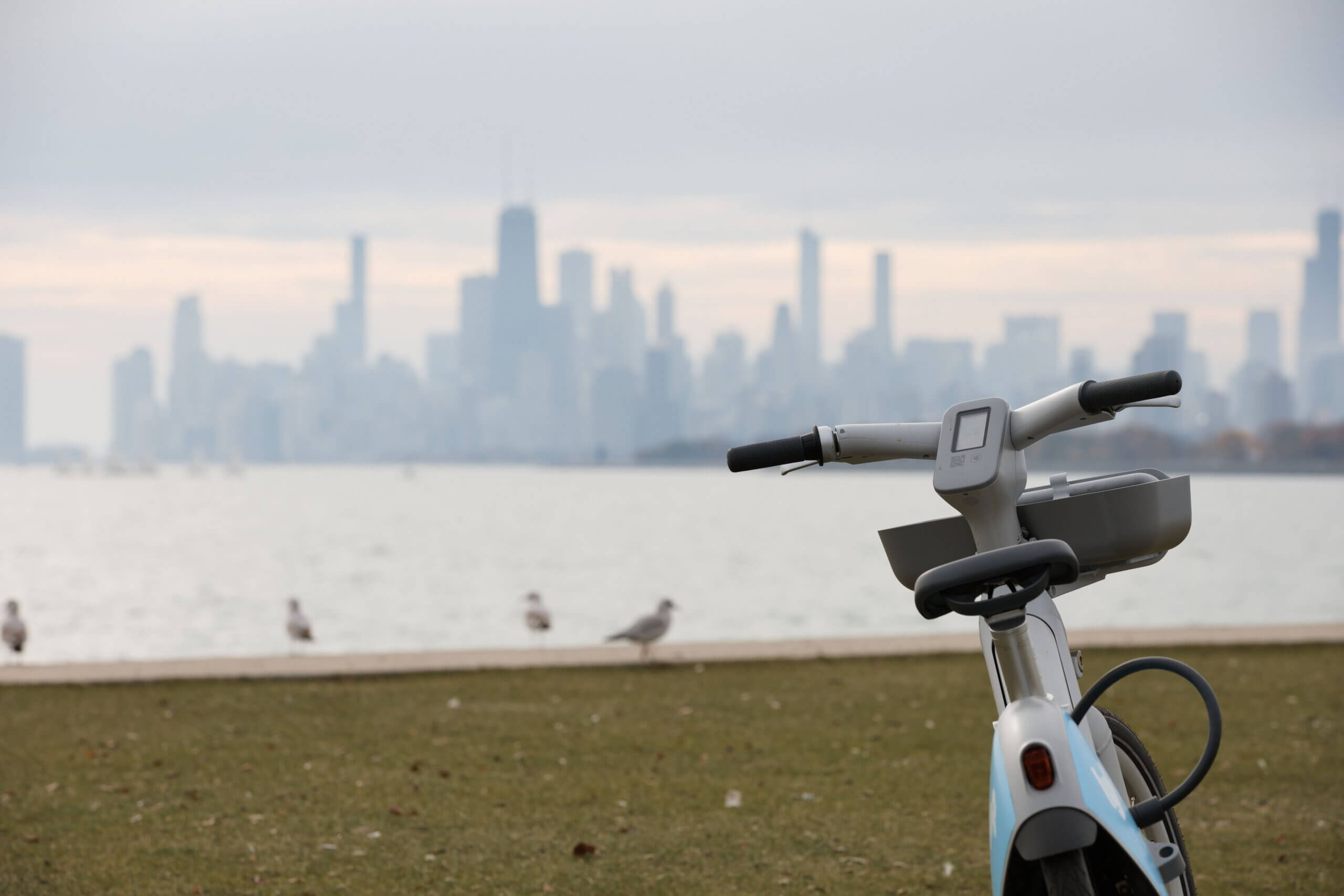 A bike is parked on grass near a waterfront with seagulls nearby, overlooking a city skyline—a peaceful moment for anyone considering relocating to Chicago under its famously cloudy sky.