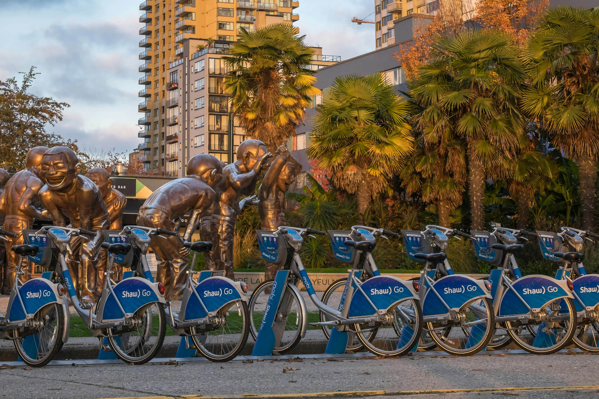 A row of blue Shaw Go rental bikes is parked in front of bronze laughing statues and palm trees, with apartment buildings in the background—a lively scene that captures the spirit of relocating to Vancouver.